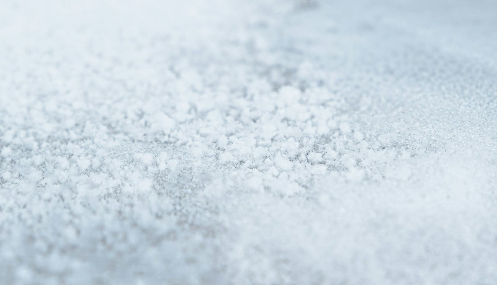 Close-up of fine white crystalline granules